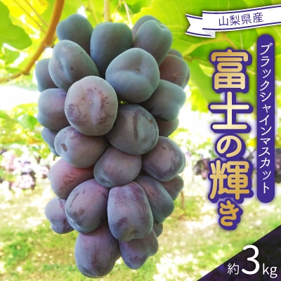 2026年発送　富士の輝き　約3kg