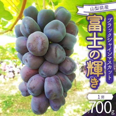 2026年発送　富士の輝き　1房(約700g)