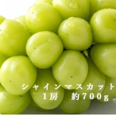 2026年発送　シャインマスカット　1房(約700g)