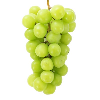 26年発送　シャインマスカット 3～6房 約3.0kg