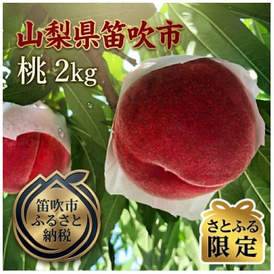 【さとふる限定】絶品!!「笛吹　春日居地区の桃」2kg(5～6玉)
