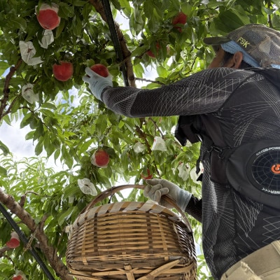 【さとふる限定】絶品!!「笛吹　春日居地区の桃」2kg(5～6玉)