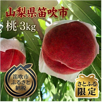 【さとふる限定】絶品!!「笛吹 春日居地区の桃」3kg (9～10玉)