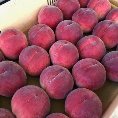 【さとふる限定】絶品!!「笛吹 春日居地区の桃」3kg (9～10玉)
