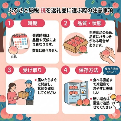 【さとふる限定】絶品!!「笛吹 春日居地区の桃」3kg (9～10玉)