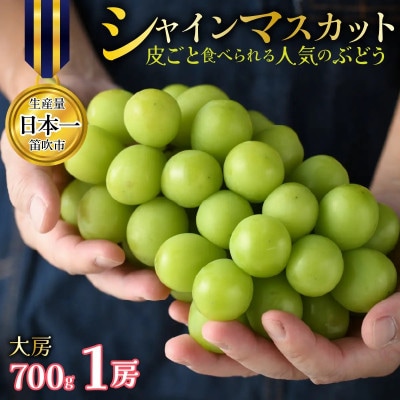 【先行予約】シャインマスカット 1房 約700g 大房 皮ごと食べられる人気のぶどう 笛吹市