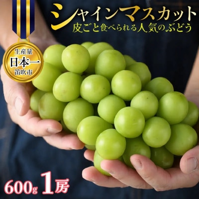 【先行予約】シャインマスカット 1房 約600g 皮ごと食べられる人気のぶどう 笛吹市
