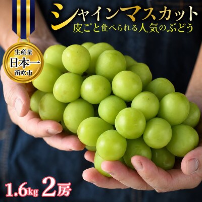 【先行予約】シャインマスカット2房 約1.6kg 特房 皮ごと食べられる人気のぶどう 笛吹市