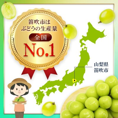 【先行予約】シャインマスカット2房 約1.6kg 特房 皮ごと食べられる人気のぶどう 笛吹市
