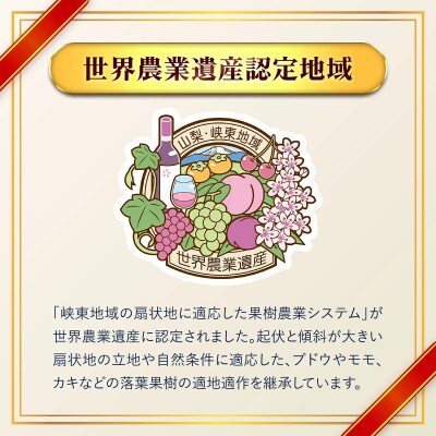 【先行予約】シャインマスカット2房 約1.6kg 特房 皮ごと食べられる人気のぶどう 笛吹市
