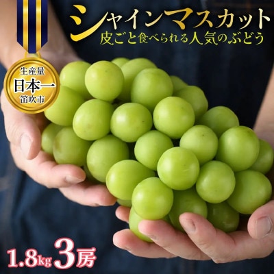 【先行予約】シャインマスカット 3房 約1.8kg 皮ごと食べられる人気のぶどう 笛吹市