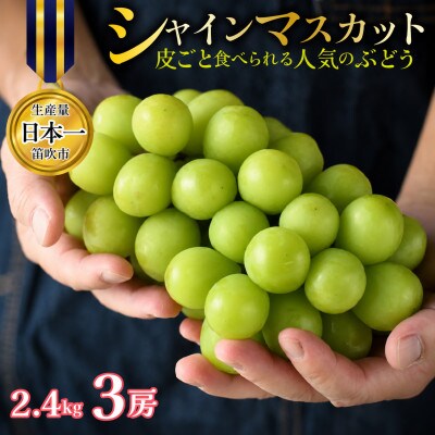【先行予約】シャインマスカット 3房 約2.4kg 特房 皮ごと食べられる人気のぶどう 笛吹市