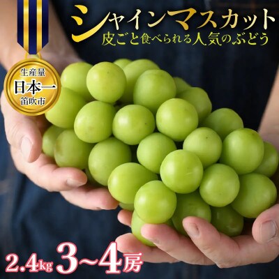 【先行予約】シャインマスカット 約2.4kg 3～4房 皮ごと食べられる人気のぶどう 笛吹市