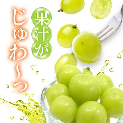 【先行予約】シャインマスカット 約2.4kg 3～4房 皮ごと食べられる人気のぶどう 笛吹市