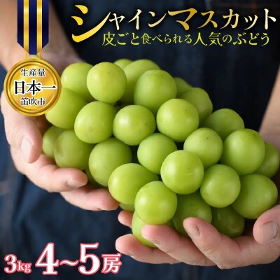 【先行予約】シャインマスカット 約3kg 4～5房 皮ごと食べられる人気のぶどう 笛吹市
