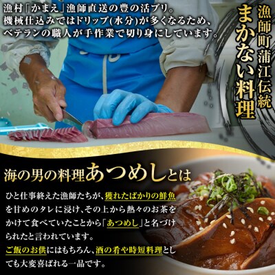 海鮮お茶漬け セット (合計約700g・2種) 