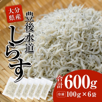 豊後水道産 しらす (合計600g・100g×6袋)  