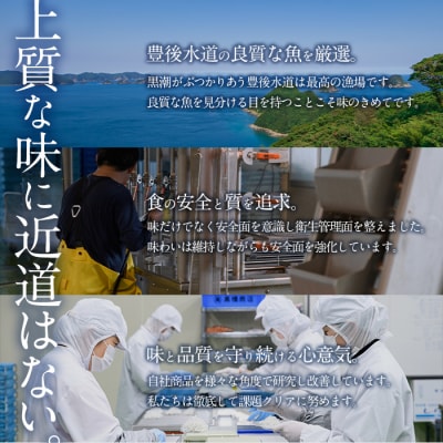  豊後水道産 しらす (合計600g・100g×6袋)  