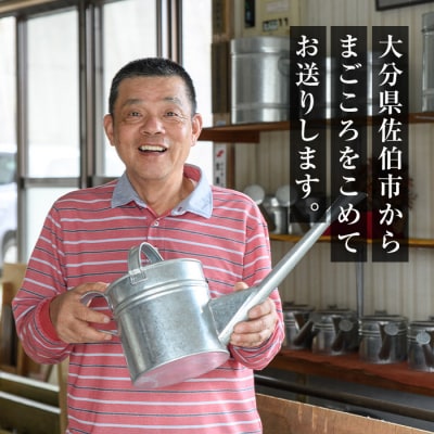板金職人が作るトタンのジョウロ (小・2.5L) 