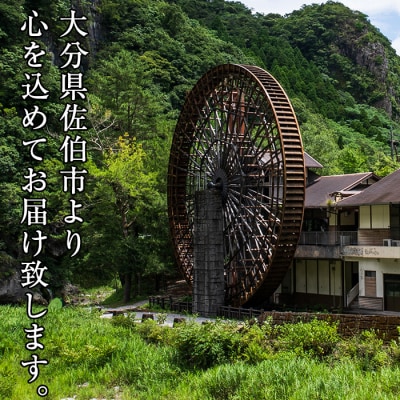 本匠みそ (計3kg・500g×6個) 