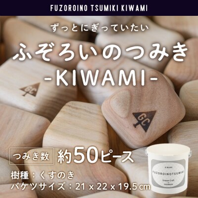 ふぞろいのつみき KIWAMI (約50ピース)  
