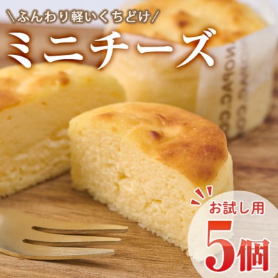 ＜お試し用＞濃厚チーズケーキ (計5個) 