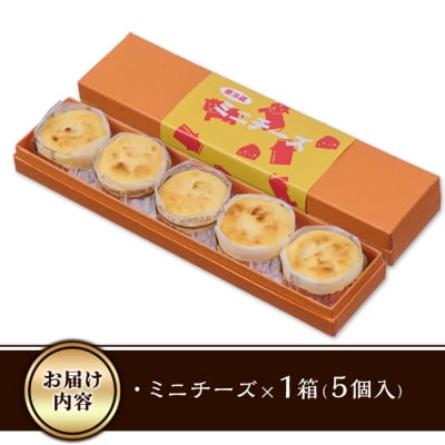 ＜お試し用＞濃厚チーズケーキ (計5個) 