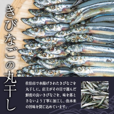 ＜訳あり・業務用＞きびなごの丸干し (計約1kg) 