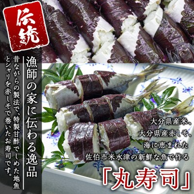 赤しそ寿司 (4～5貫入り×4セット) 