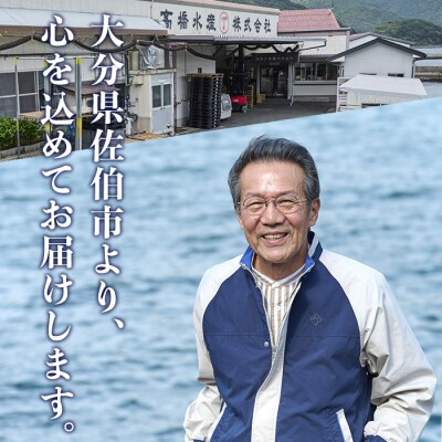 赤しそ寿司 (4～5貫入り×4セット) 