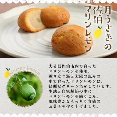 月うさぎの佐伯マリンレモン (計20個) 