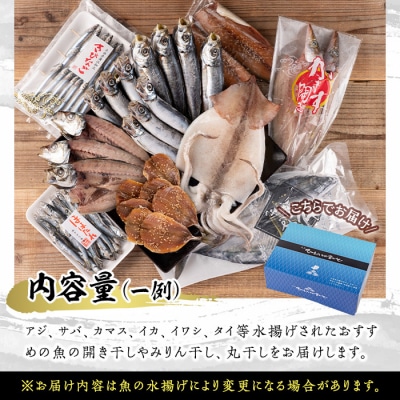 職人おまかせ干物セット (合計10品以上)