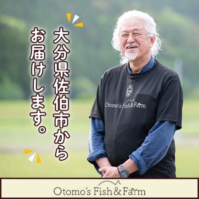 ブリのからすみ ブリッタルガ パウダー (計120g・30g×4P)