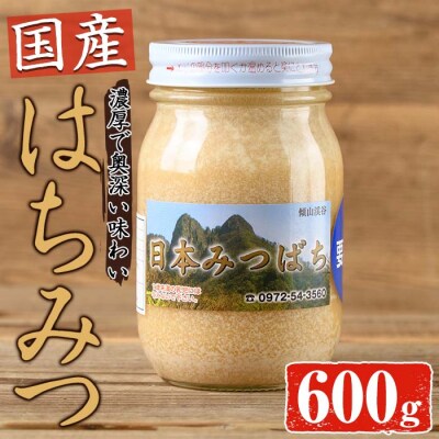 国産 はちみつ (600g) 多賀さん採蜜