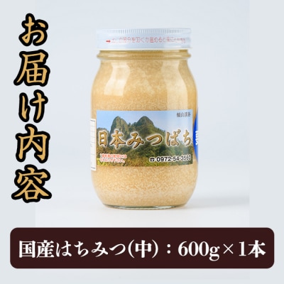 国産 はちみつ (600g) 多賀さん採蜜