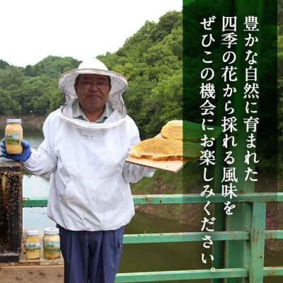 国産 はちみつ (600g) 多賀さん採蜜