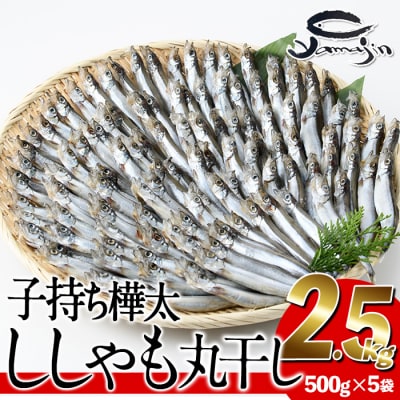 子持ち樺太ししゃも丸干し (計2.5kg・500g×5袋)