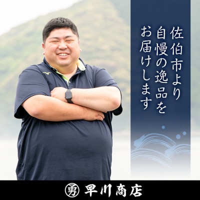 早川のすりみ天セット (合計24枚・2種×各12枚)