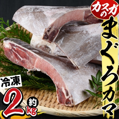 マグロのカマ (計約2kg・400g×5P)
