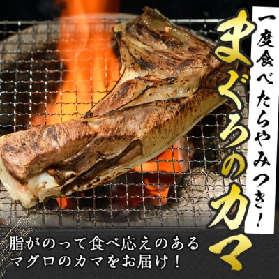 マグロのカマ (計約2kg・400g×5P)