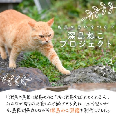 深島ねこ図鑑vol.2 (2冊)