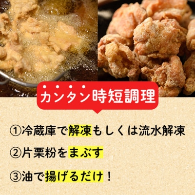 老舗店の味付けから揚げ (計1kg・500g×2袋)