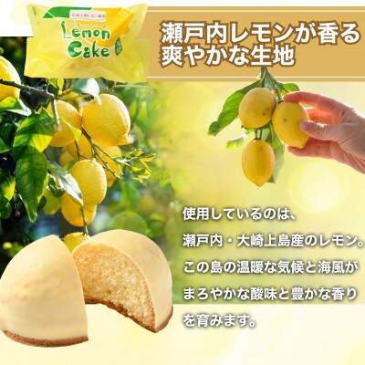 レモンケーキ 20個