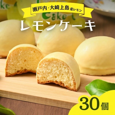 レモンケーキ 30個