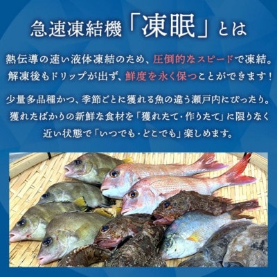 漁協直送!瀬戸内海 天然地魚 お刺身 3種セット 300g【急速凍結 小分け 骨取り】