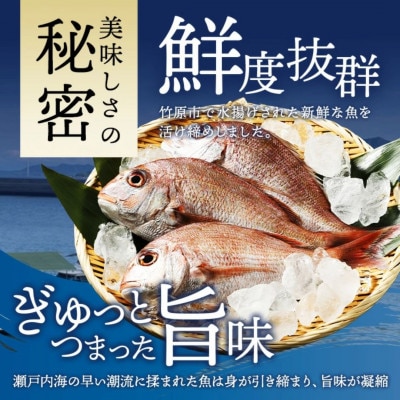 瀬戸内「天然」真鯛 お刺身用 300g 柵でお届け(急速冷凍)| 便利な小分け 100gパック