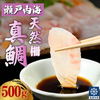 瀬戸内「天然」真鯛 お刺身用 500g 柵でお届け(急速冷凍)| 便利な小分け 100gパック