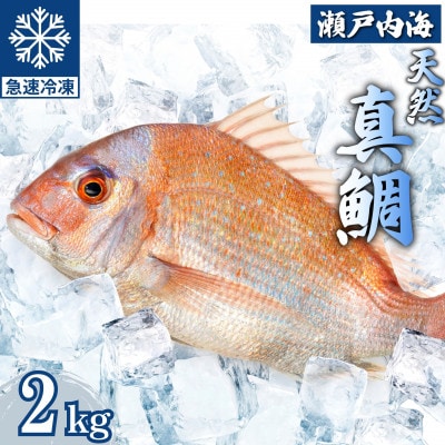 瀬戸内 天然真鯛 丸ごと姿(うろこ・内臓除去済) 4～6匹入り 合計2kg