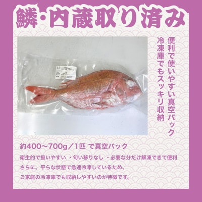 瀬戸内 天然真鯛 丸ごと姿(うろこ・内臓除去済) 4～6匹入り 合計2kg