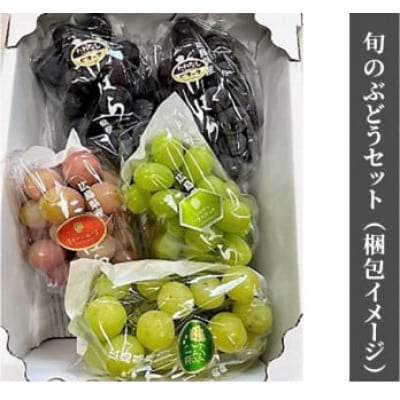 旬のぶどう詰合せ4～6房 計約2kg [ピオーネ 安芸クイーン シャインマスカット他]